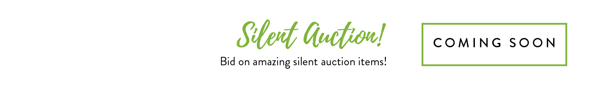 Silent Auction